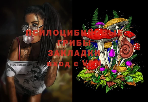гидра Снежинск